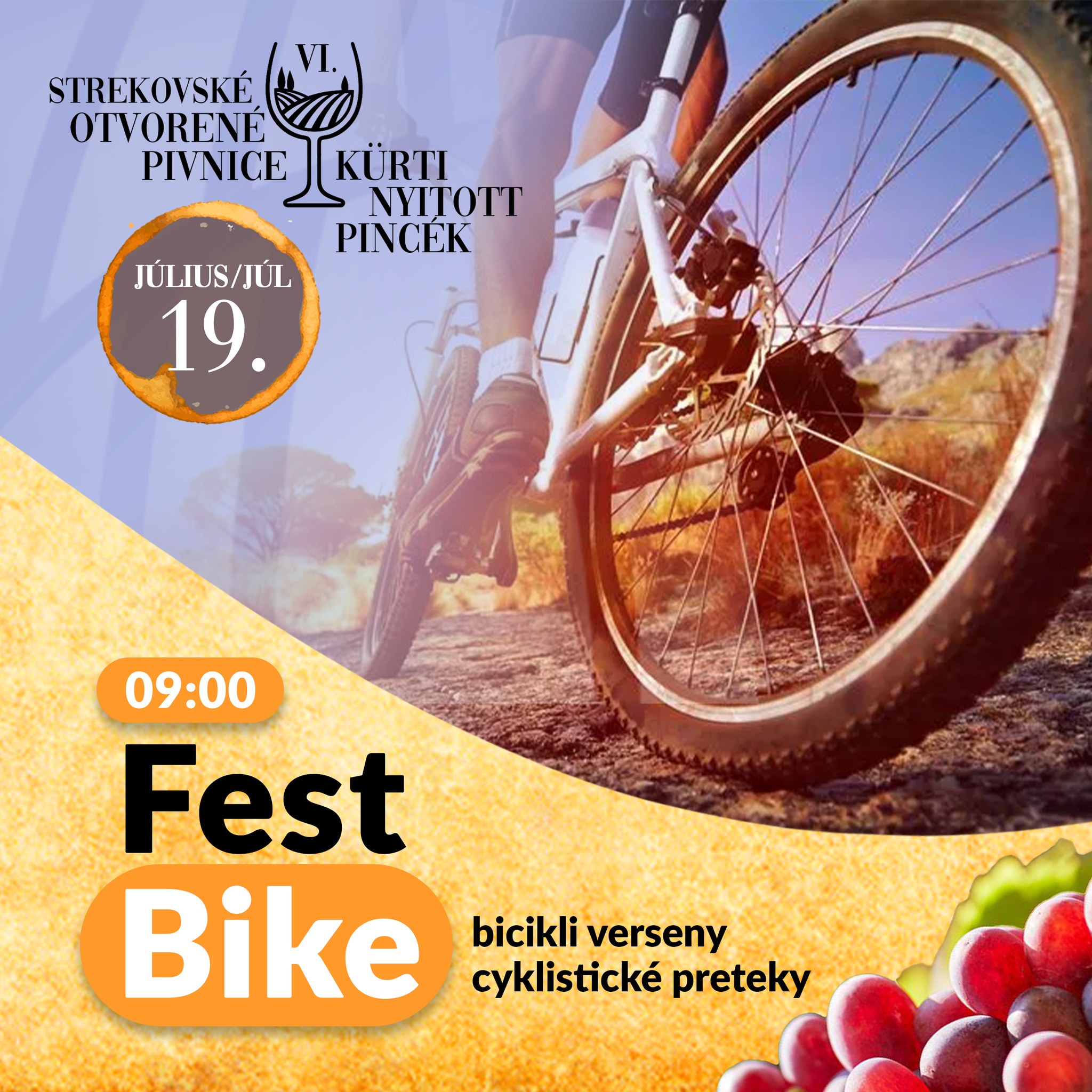 fest_bike